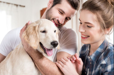 Budget-Friendly Ways to Keep Your Furry Friend Healthy: Discover Money-Saving Pet Care Coupons