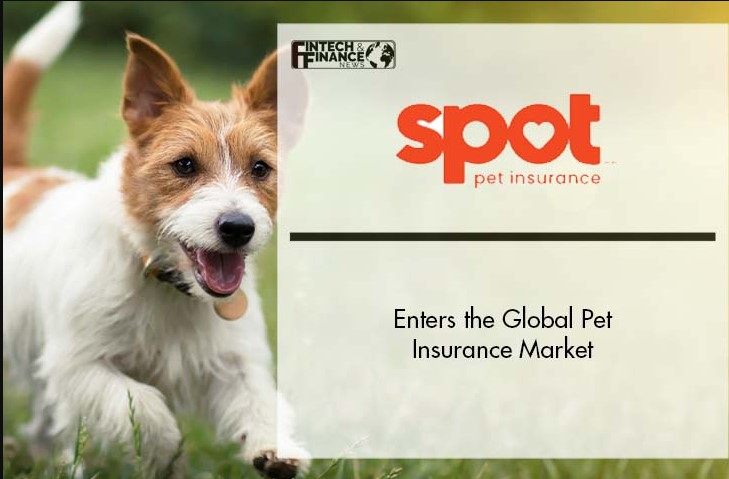 Unlocking Savings with Spot Pet Insurance Coupons: Tips and Tricks