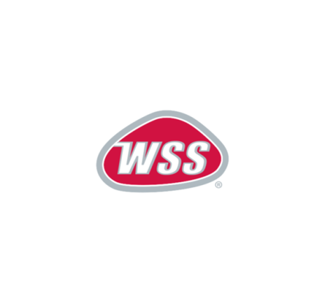 wss